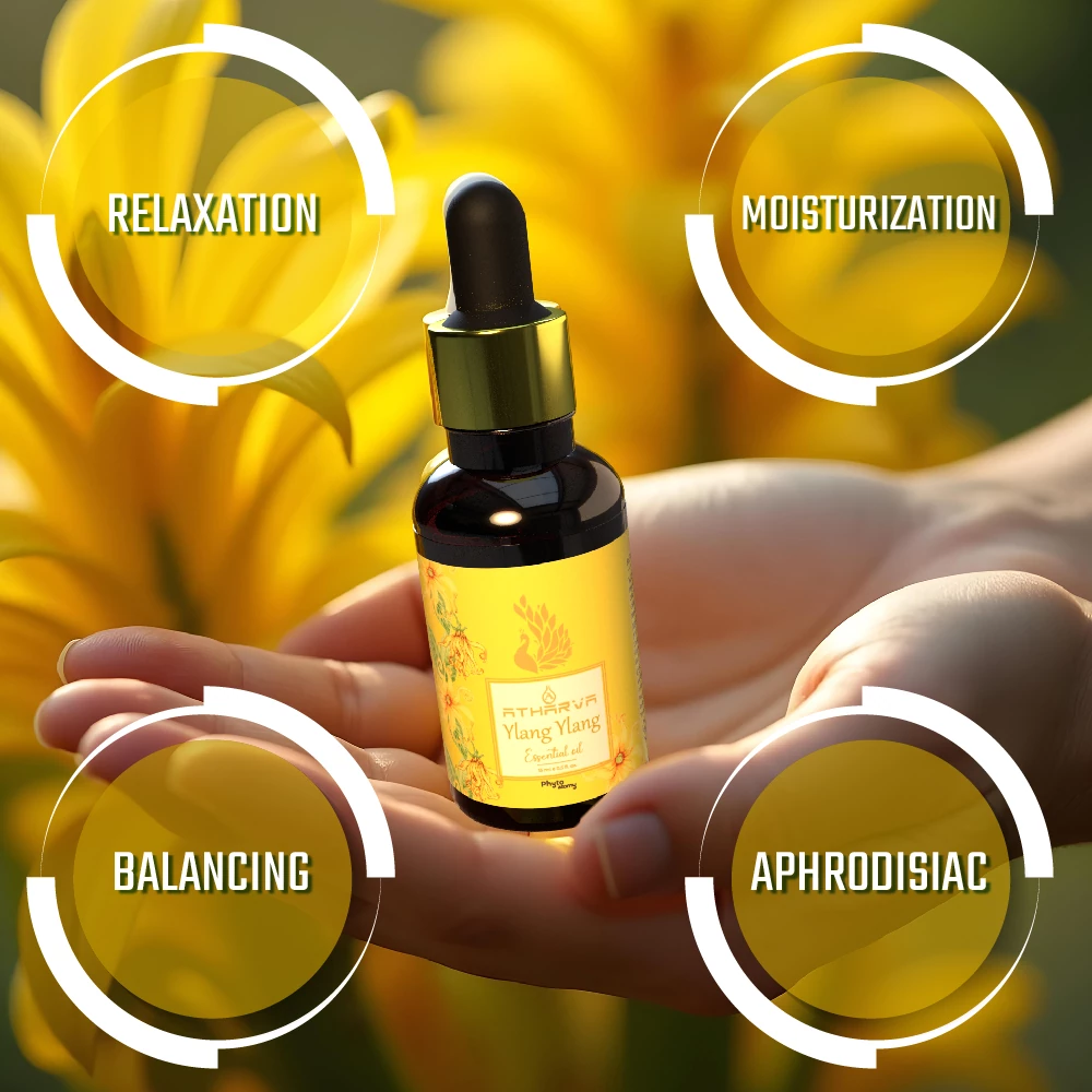 RBV B2B Atharva Ylang Ylang Essential Oil (15ml)-12 Pcs.